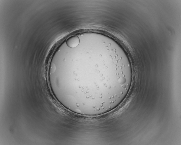 X0000111420974200907131016