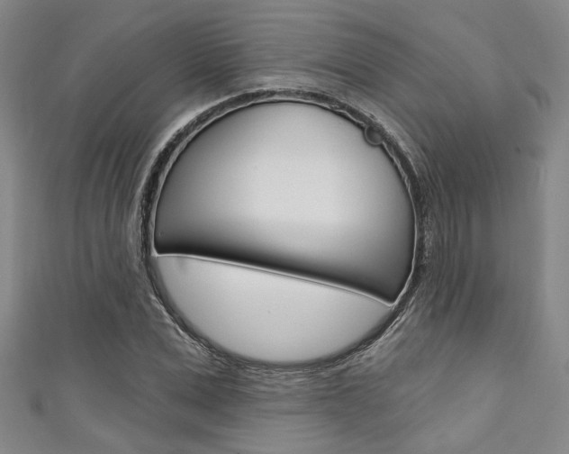 X0000111420975200907131016