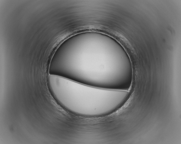 X0000111420977200907131016