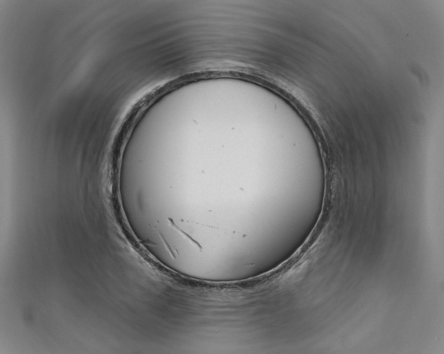 X0000111420979200907131016