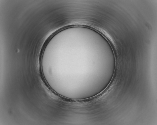 X0000111420980200907131016