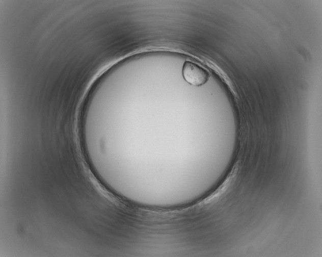X0000111420981200907131016