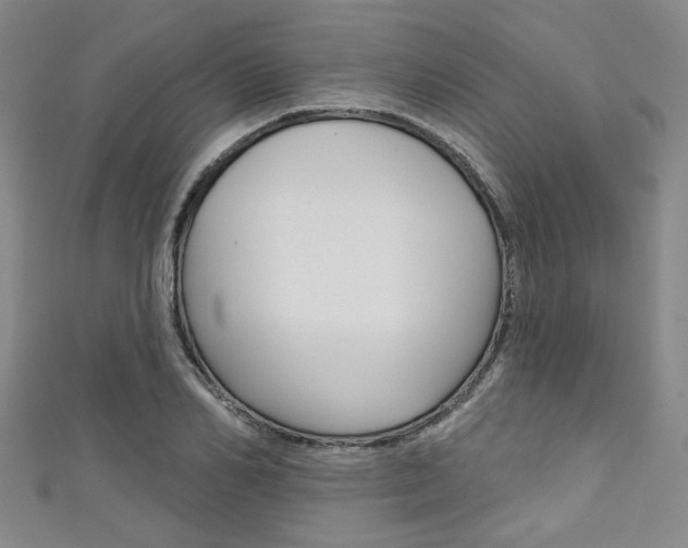 X0000111420982200907131016