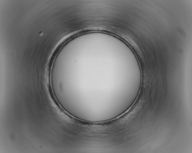 X0000111420984200907131016