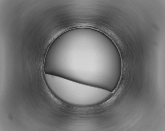 X0000111420985200907131016