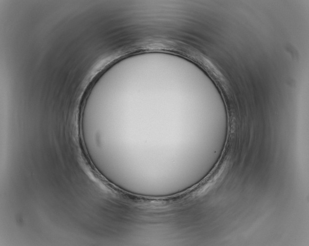 X0000111420986200907131016