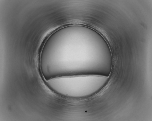 X0000111420987200907131016