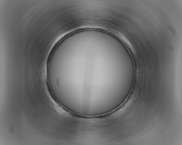 X0000111420988200907131016