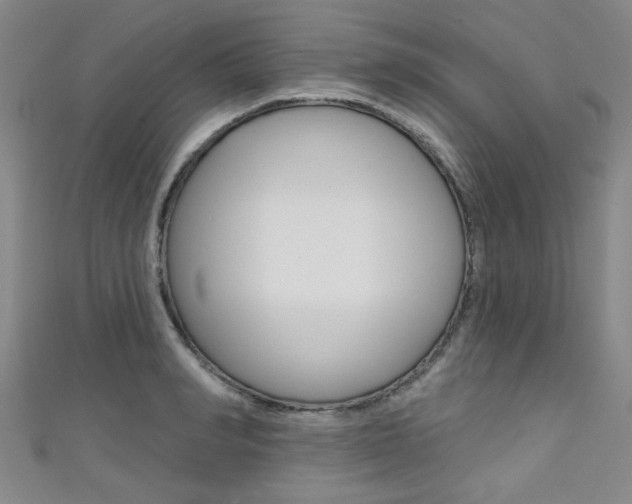 X0000111420990200907131016