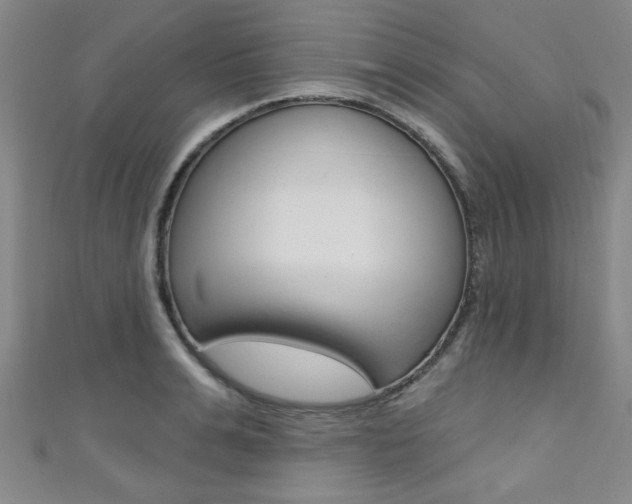 X0000111420991200907131016