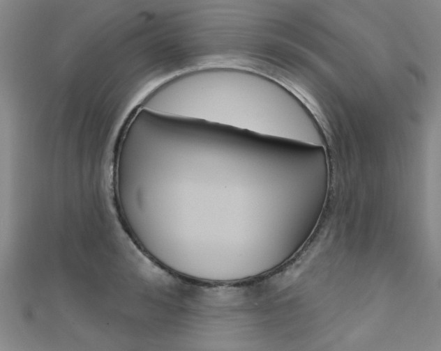 X0000111420992200907131016