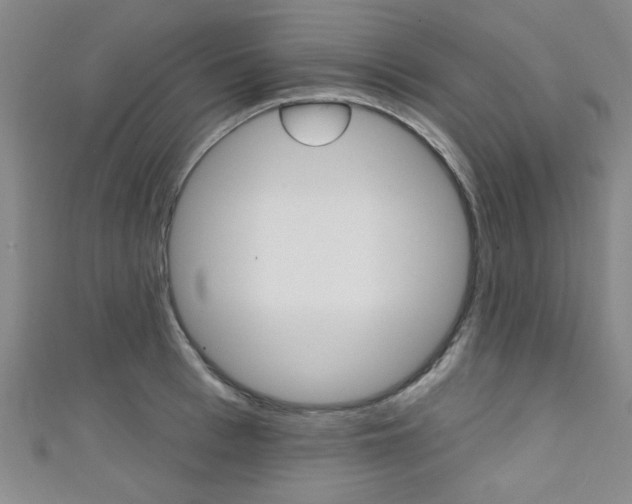 X0000111420993200907131016