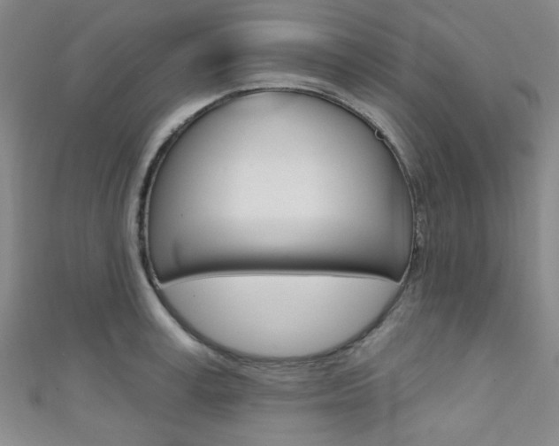 X0000111420995200907131016