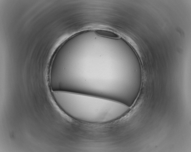 X0000111420997200907131016
