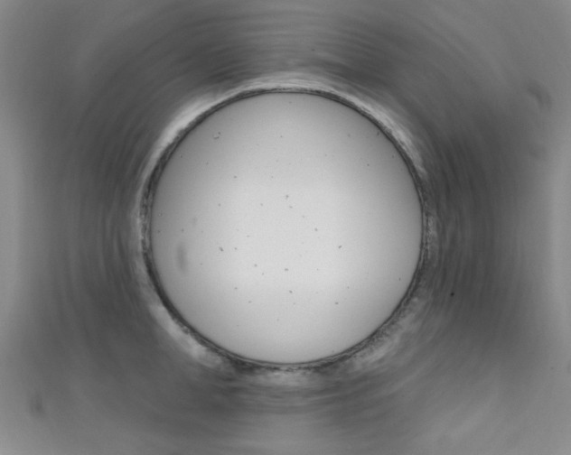 X0000111420998200907131016