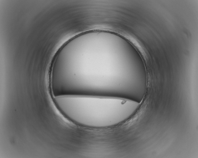 X0000111420999200907131016