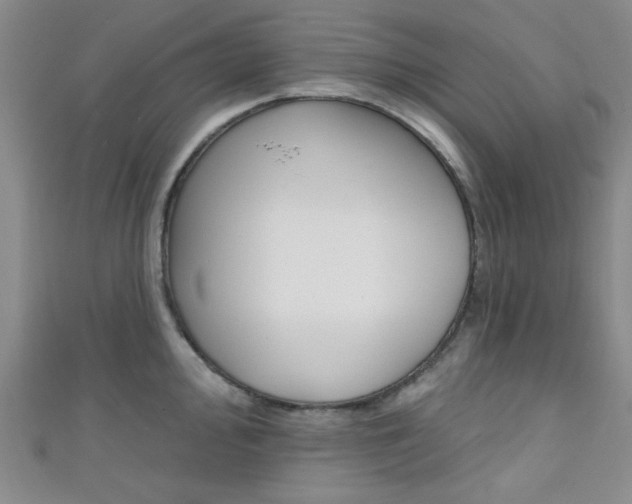 X0000111421000200907131016