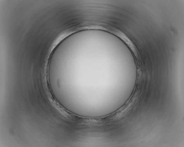 X0000111421002200907131016