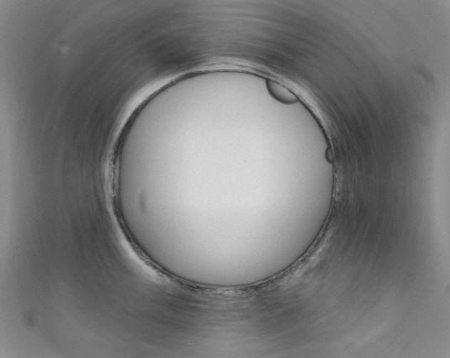 X0000111421003200907131016