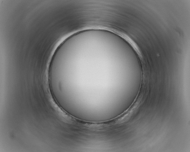 X0000111421004200907131016