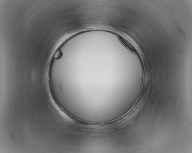 X0000111421005200907131016