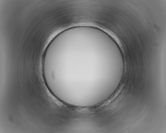 X0000111421006200907131016