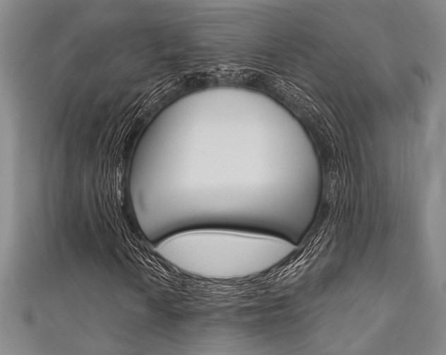 X0000111421010200907131015