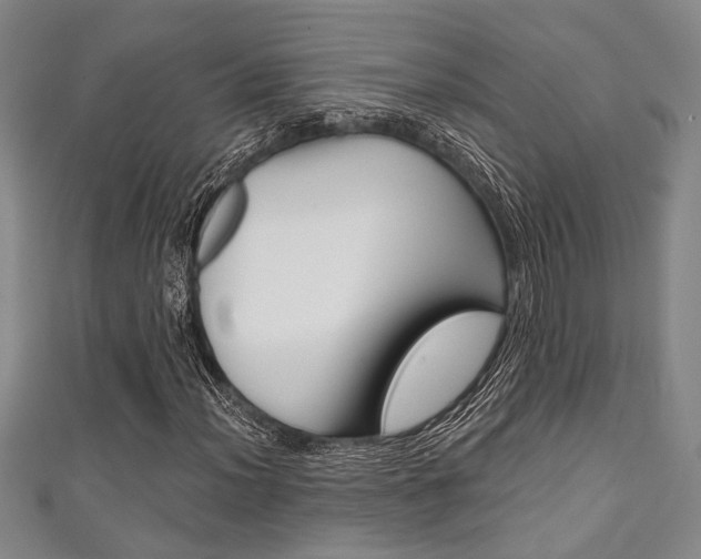 X0000111421012200907131015