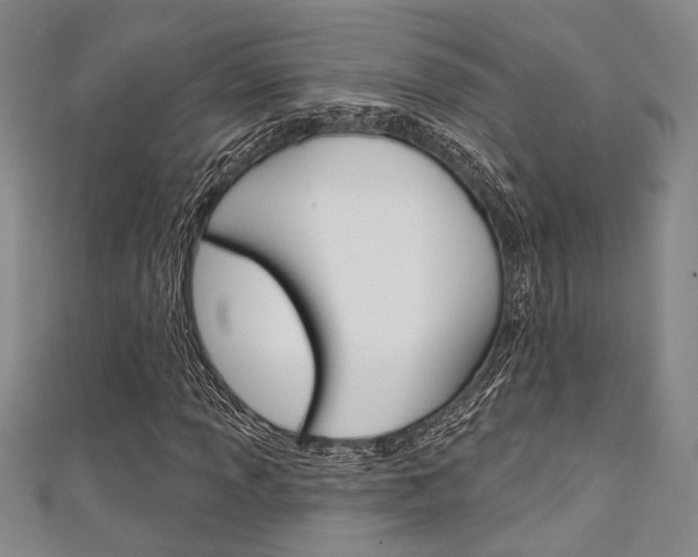 X0000111421013200907131015