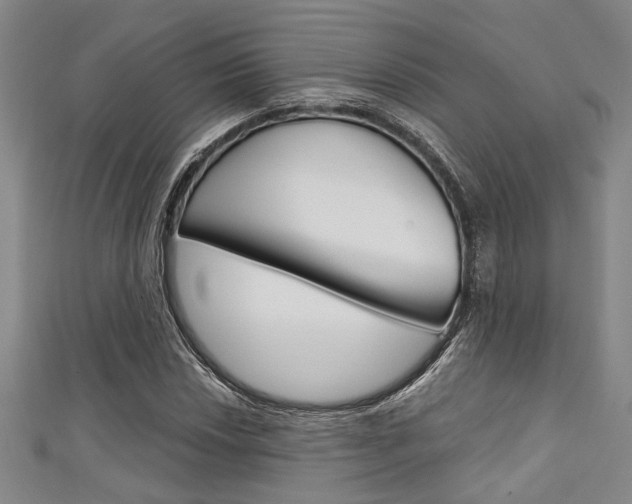 X0000111421018200907131015