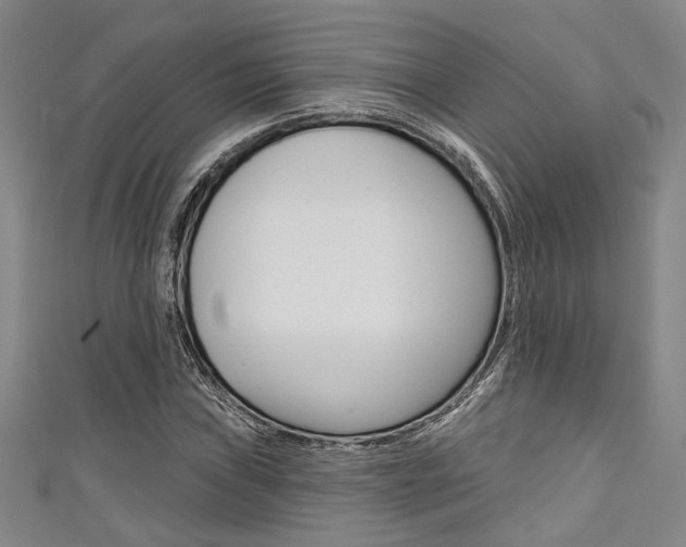 X0000111421019200907131015