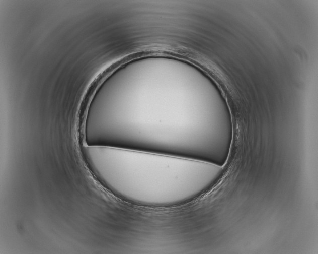 X0000111421020200907131015