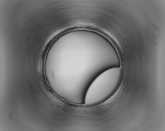 X0000111421021200907131015