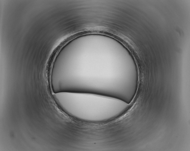 X0000111421022200907131015