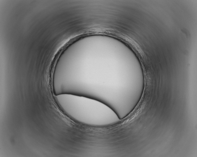 X0000111421023200907131016