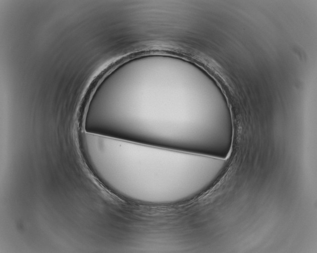 X0000111421024200907131016