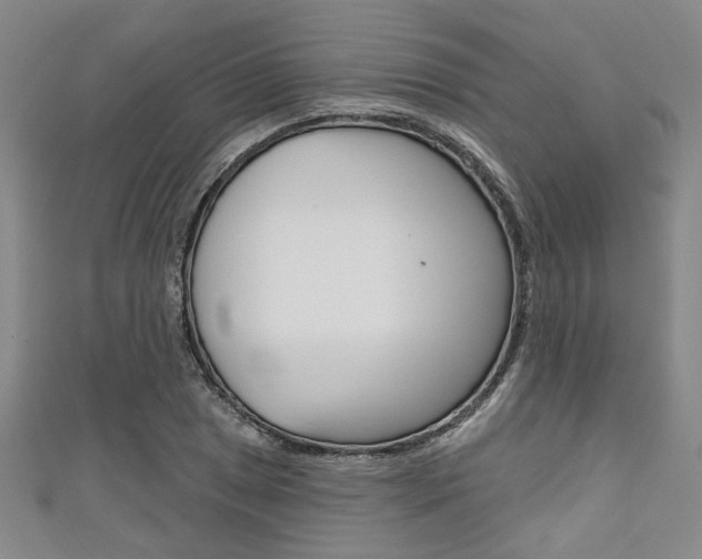 X0000111421025200907131016