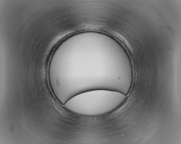 X0000111421027200907131016