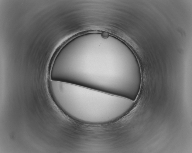 X0000111421028200907131016