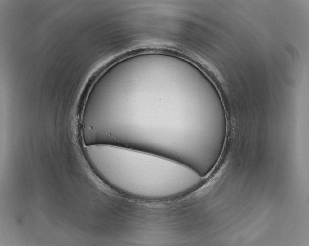 X0000111421029200907131016