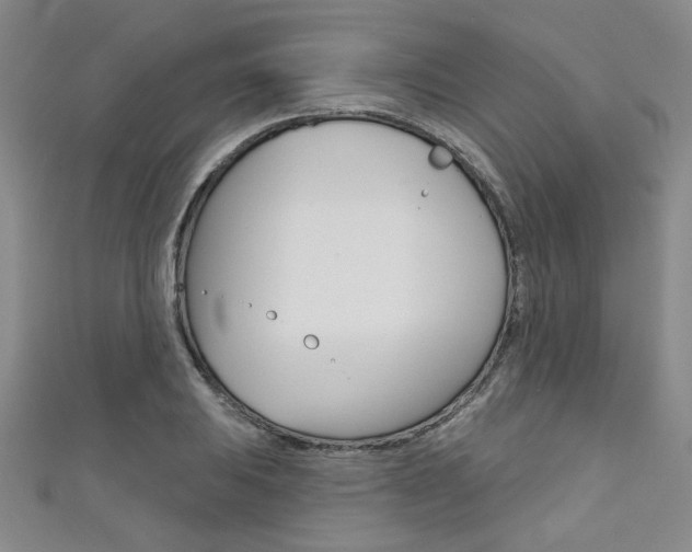 X0000111421031200907131016