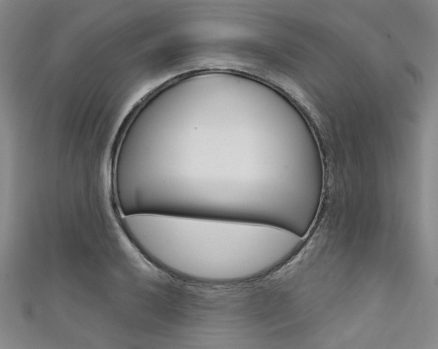 X0000111421032200907131016