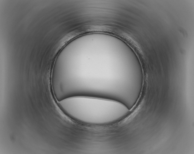 X0000111421033200907131016