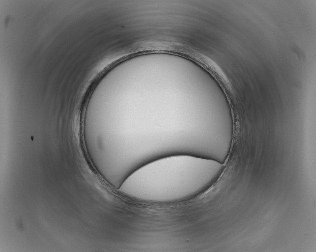 X0000111421035200907131016