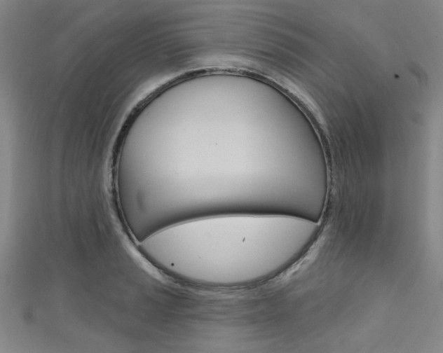 X0000111421037200907131016