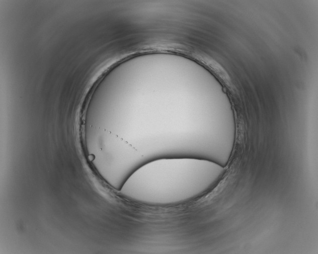 X0000111421039200907131016