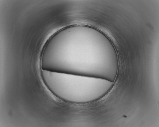 X0000111421040200907131016