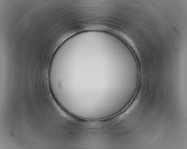X0000111421041200907131016