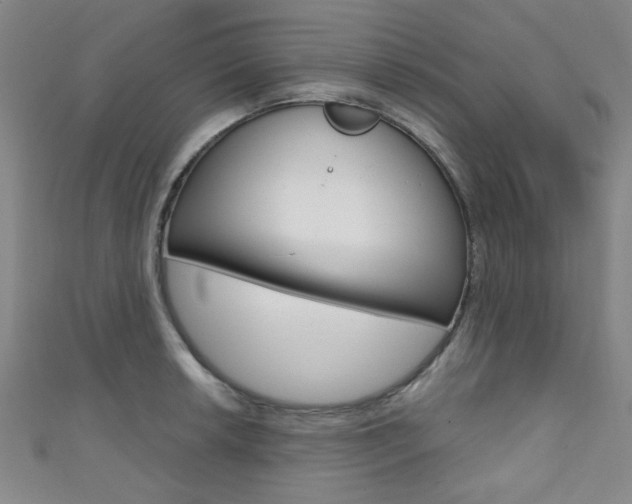 X0000111421042200907131016