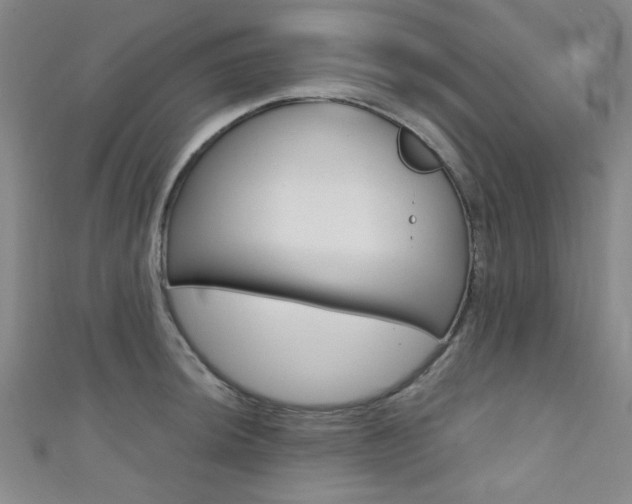 X0000111421044200907131016